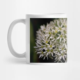 English Wild Garlic Mug